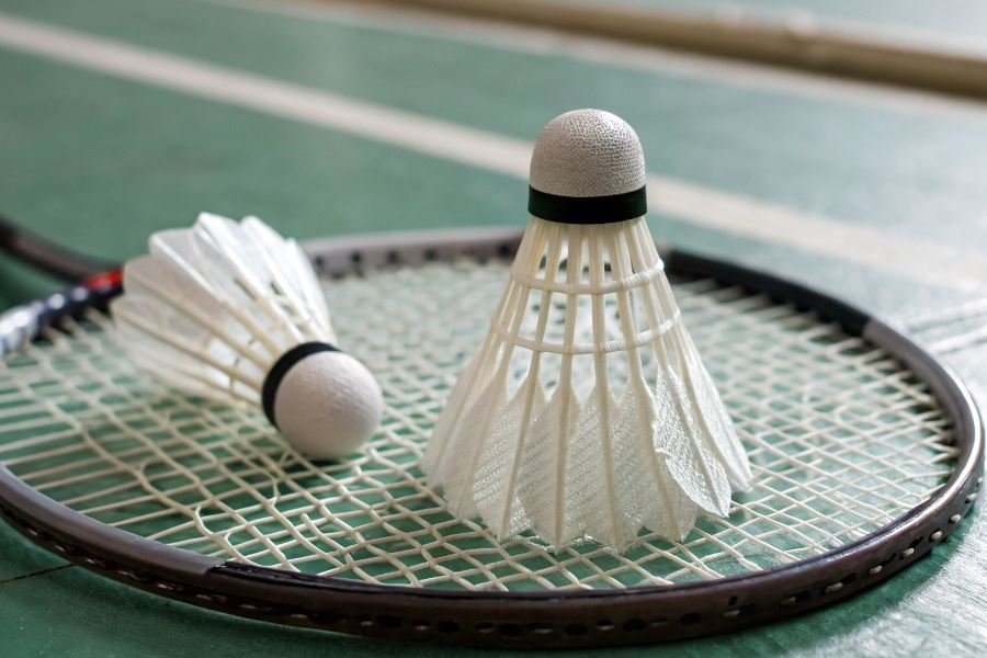 178-badminton-shuttlecocks-plastic-vs-feather