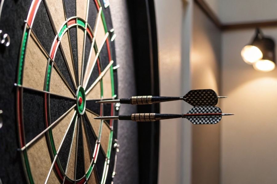 297-professional-dart-board-selection-guide