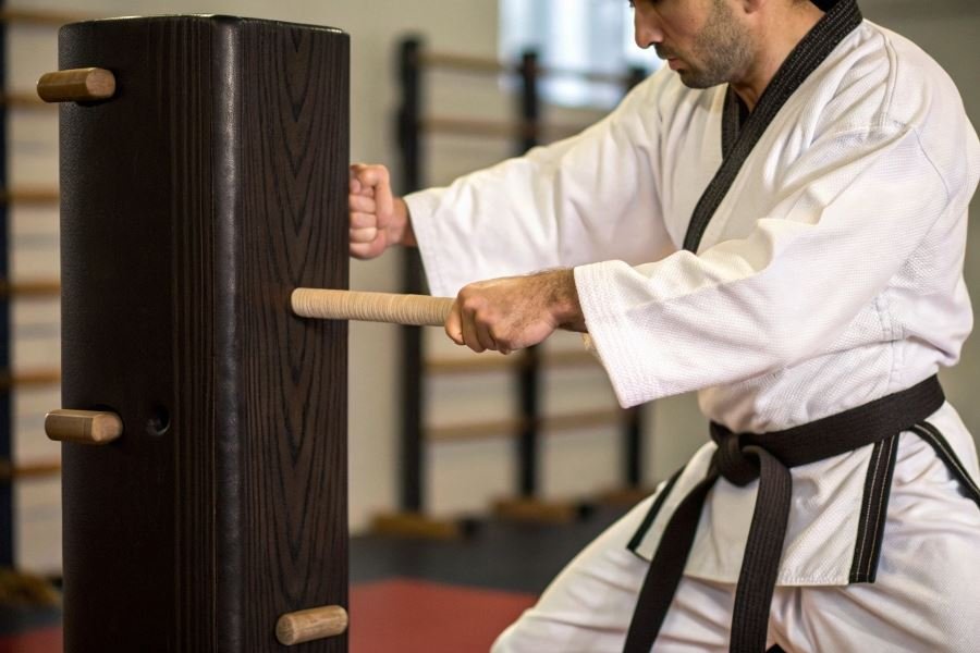 842-karate-striking-pads-training-technique